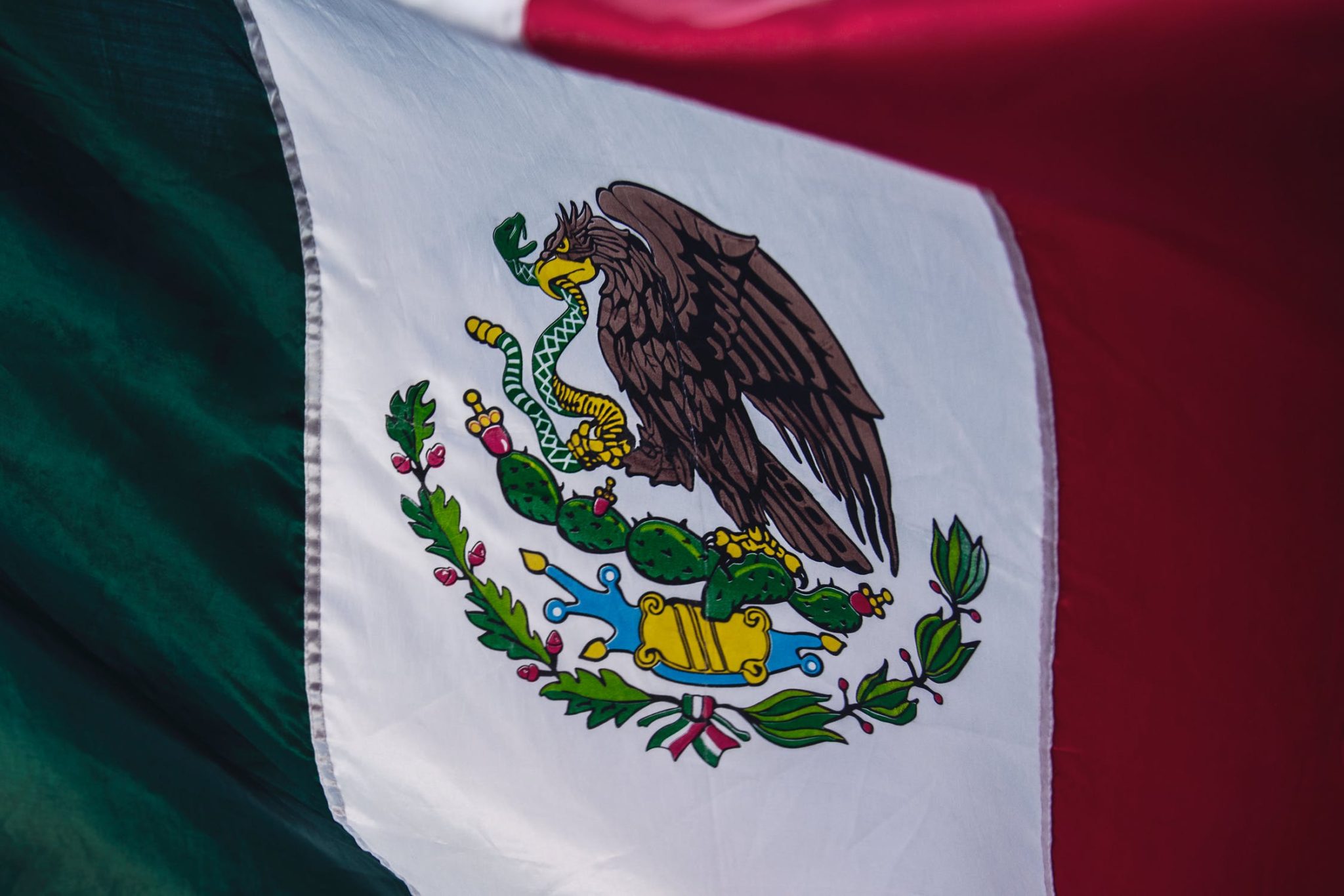 The IMG Experience How To Get A Mexican Student Visa